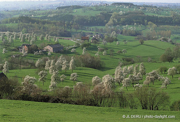 agriculture